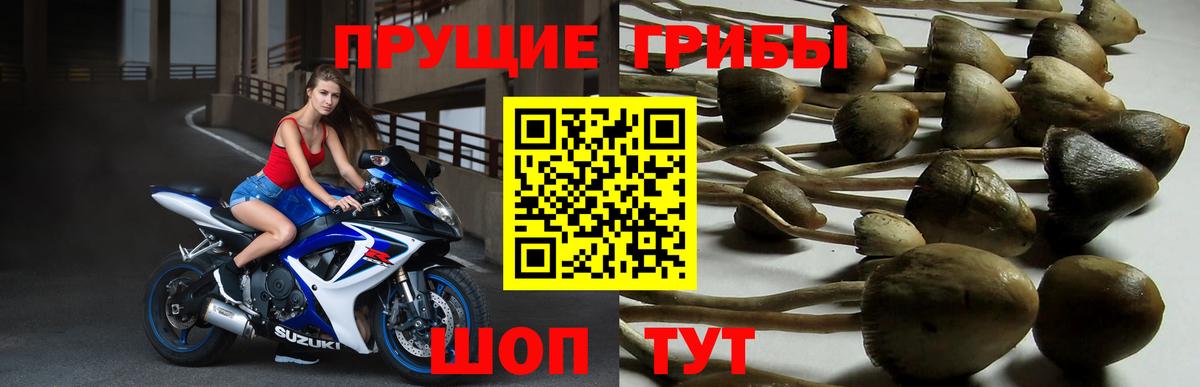 Галлюциногенные грибы прущие грибы  Вход с VPN  где продают   Псилоцибиновые грибы мицелий  Нефтекамск 